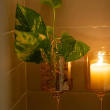 Good Morning Alojamento de Acomodação e Pequeno-almoço 4*